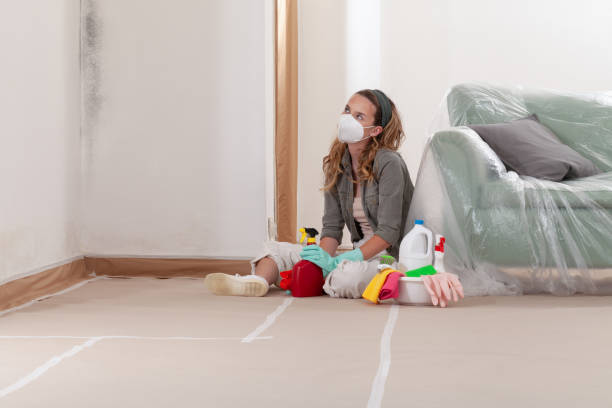 Reliable Mold Removal contractor in Williamston, NC by WQB Mold Removal